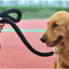Laisse Solide pour Chien – Corde Renforcée de 120 cm pour Chiens Moyens à Très Grands