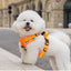 No-Pull Dog Harness & Rope Leash Set – Adjustable & Reflective