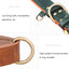 Collier pour Chien en Cuir – Réglable, Rembourré et Résistant avec Anneau en D