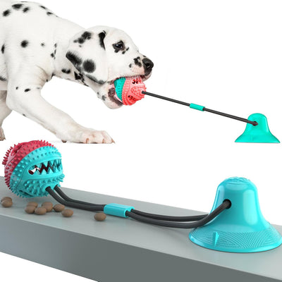 Jouet pour chien – Ventouse, balle distributrice et tir à la corde