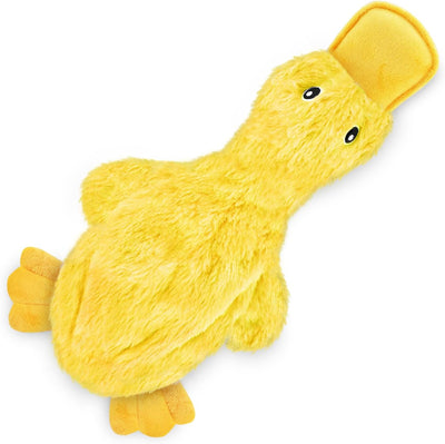 Jouet Canard Crinkle pour Chien – Peluche Sonore Sans Rembourrage