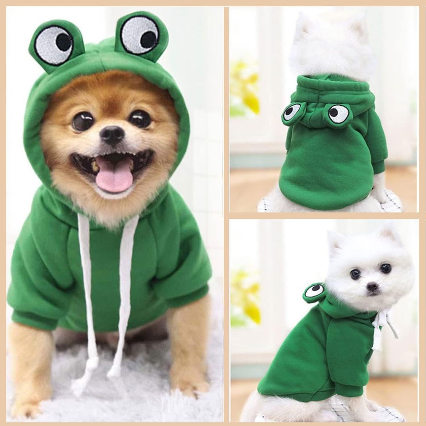 Sweat à Capuche Grenouille pour Chien – Manteau Douillet en Polaire pour Chiens et Chats