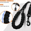 Laisse pour chien – Durable et confortable