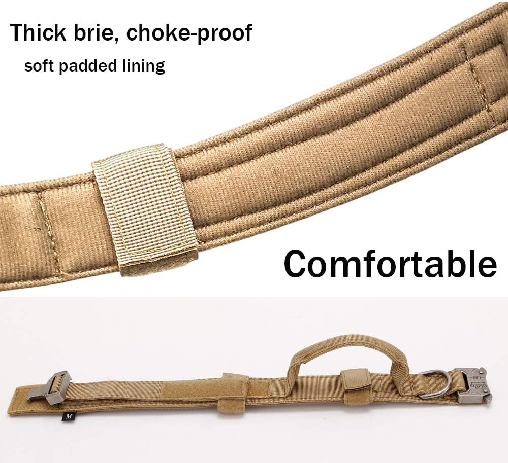Collier pour chien robuste et confortable