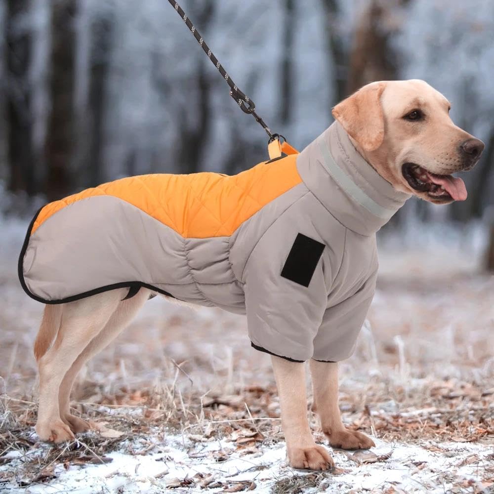 Reflective Winter Dog Coat – Warm & Windproof Jacket