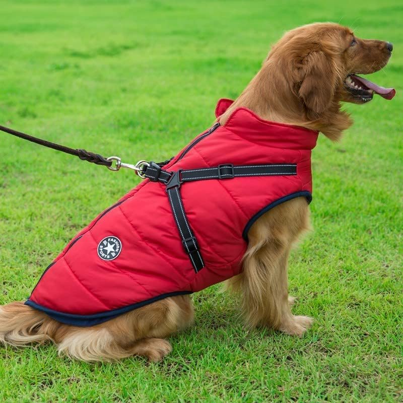 Winter Dog Jacket with Built-In Harness – Warm Outdoor Coat
