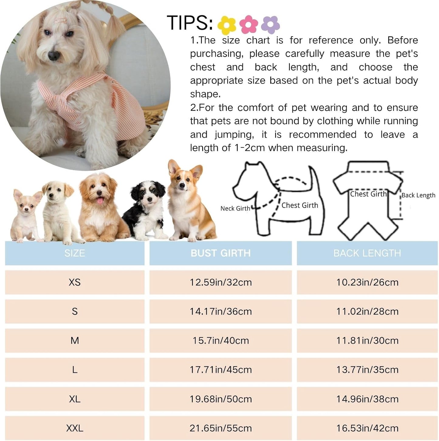 Striped Dog Dress – Summer Outfit for Small Dogs