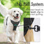 Harnais pour chiens de taille  grande