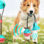 Jouet pour chien – Ventouse, balle distributrice et tir à la corde