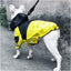 Manteau Imperméable pour Chien – Veste Extérieure Réfléchissante avec Capuche