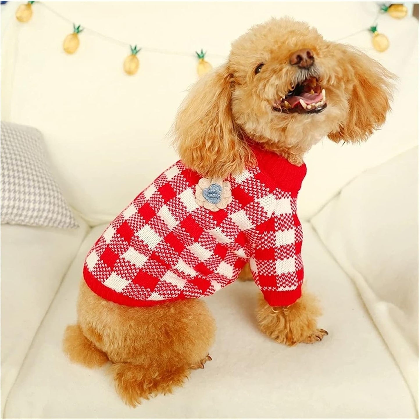 Pull en Coton pour Chien et Chat – Chaud et Confortable