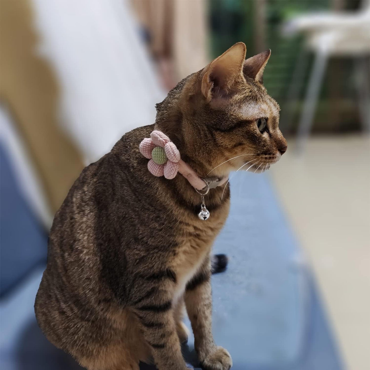 Collier de Chat Sécurité avec Clochette – Réglable & Mignon