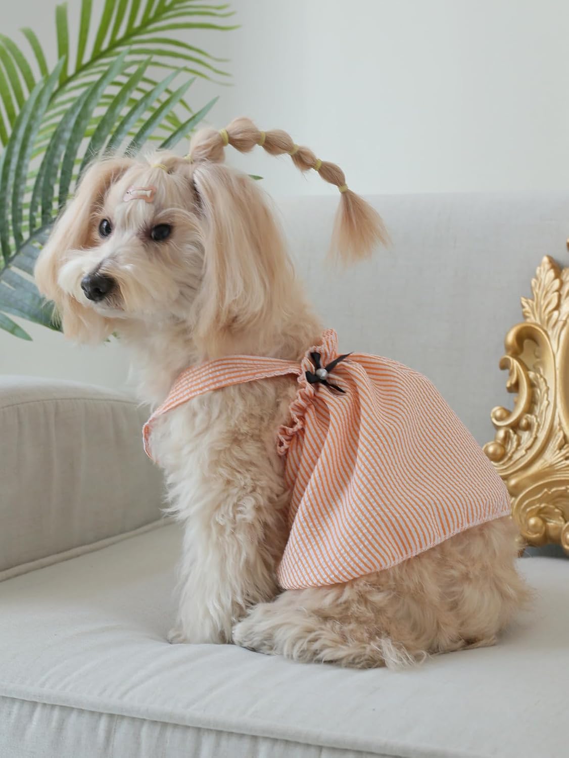 Striped Dog Dress – Summer Outfit for Small Dogs