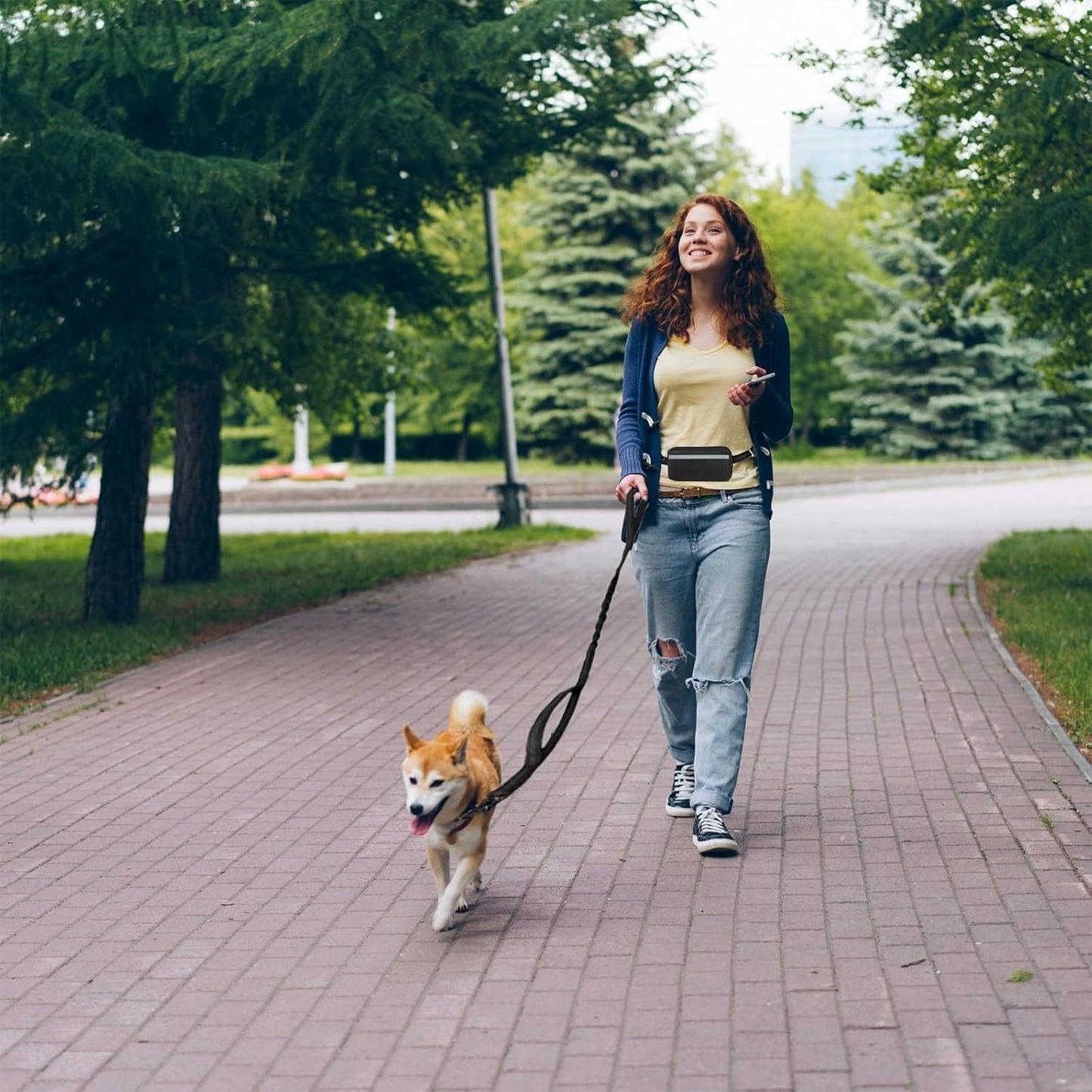 Laisse Chien Mains Libres – Ceinture avec Amortisseur