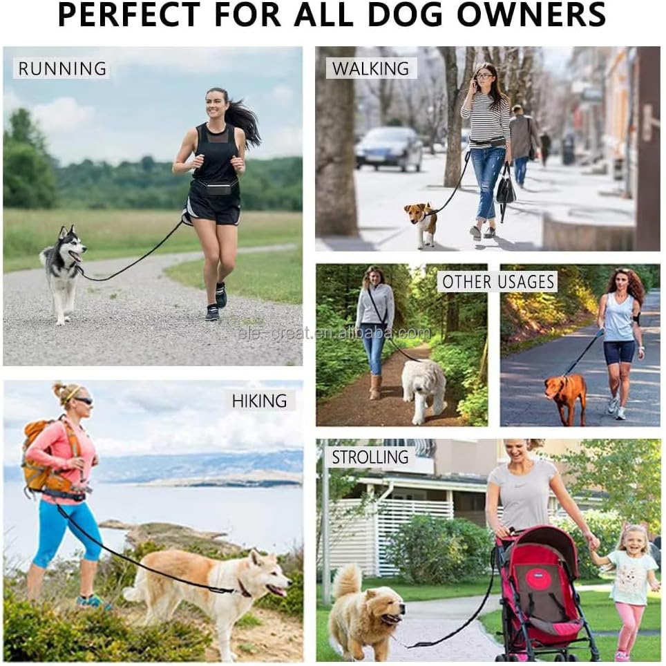 Laisse Chien Mains Libres – Ceinture avec Amortisseur