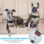 Double Dog Car Seat Belt – Adjustable Safety Restraint