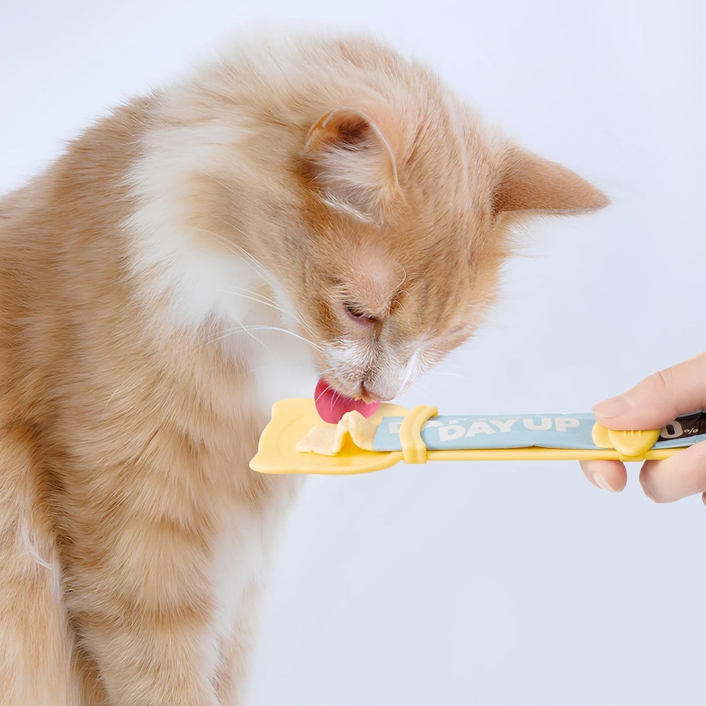 Distributeur de nourriture et de friandises pour chats - Alimentation et rangement faciles