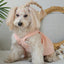 Striped Dog Dress – Summer Outfit for Small Dogs