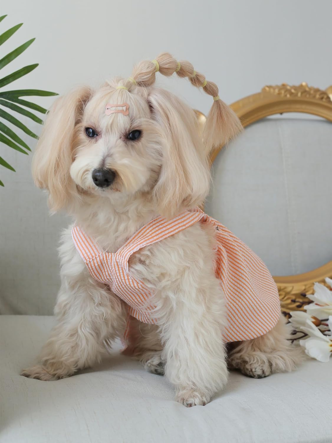 Striped Dog Dress – Summer Outfit for Small Dogs