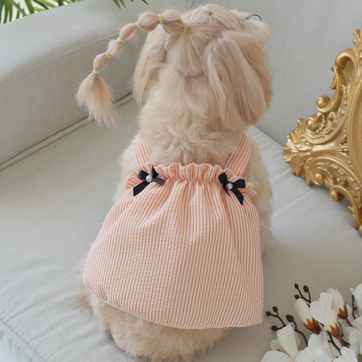Striped Dog Dress – Summer Outfit for Small Dogs