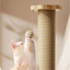 Jouet pour chat en bois avec griffoir en sisal et plateau tournant