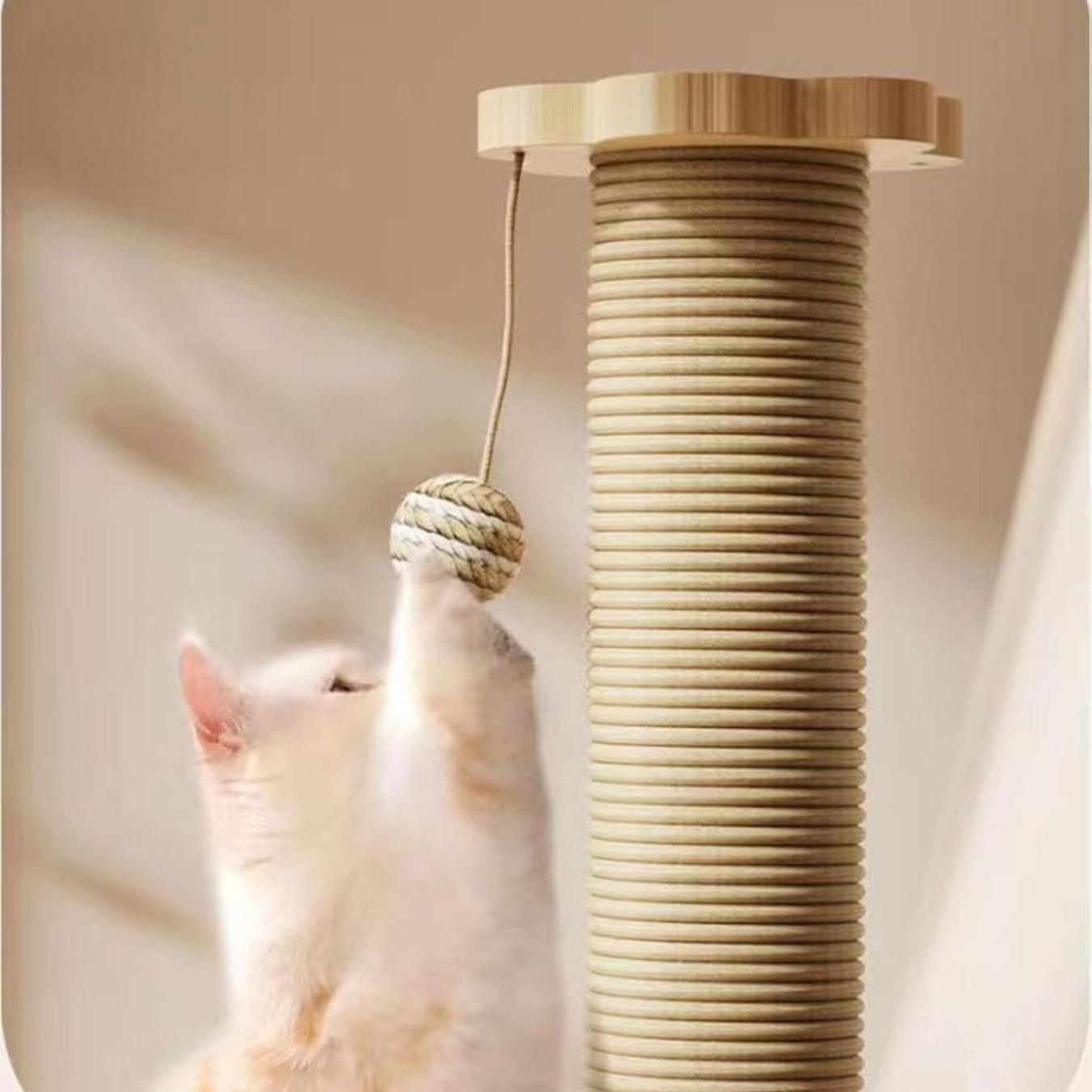 Jouet pour chat en bois avec griffoir en sisal et plateau tournant
