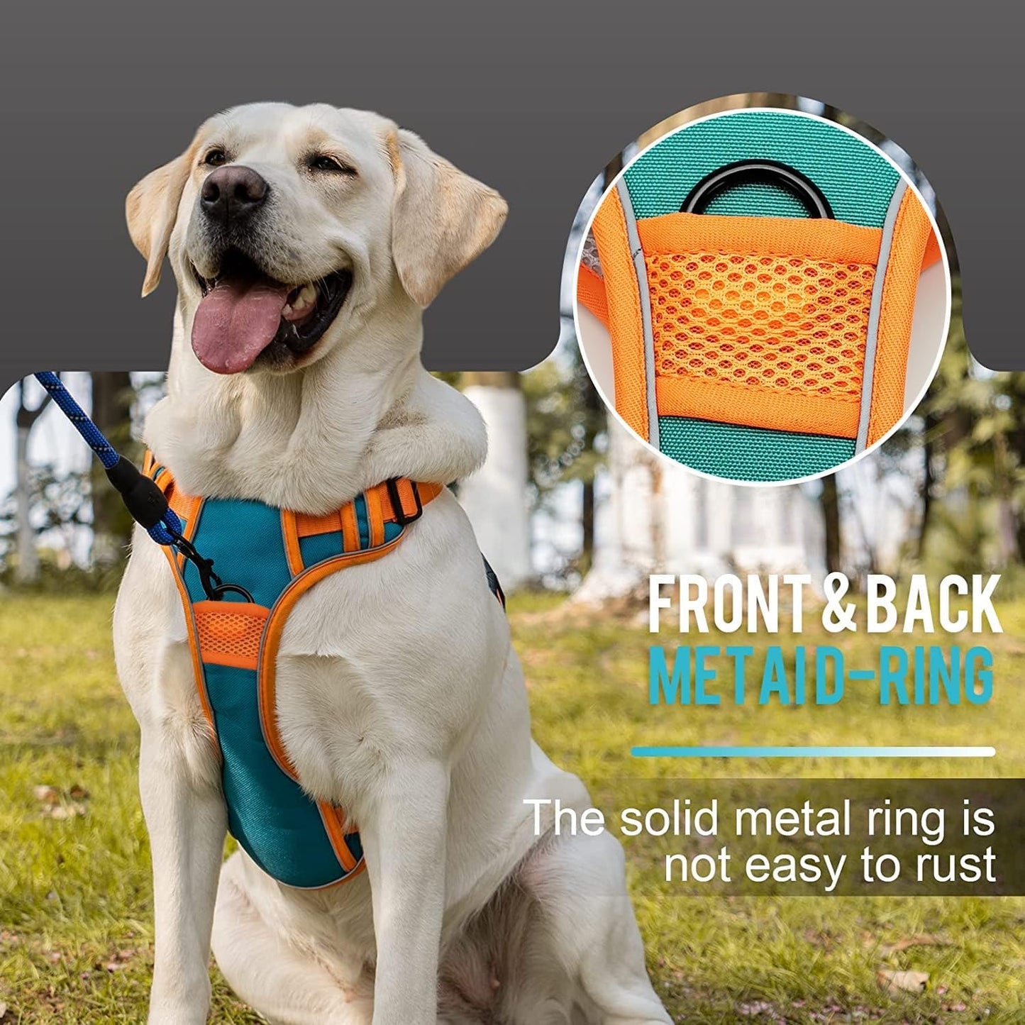 No-Pull Dog Harness & Rope Leash Set – Adjustable & Reflective