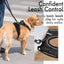 Harnais pour chiens de taille  grande