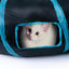 Tunnel interactif en forme de S pour chat avec jouet à balle suspendue