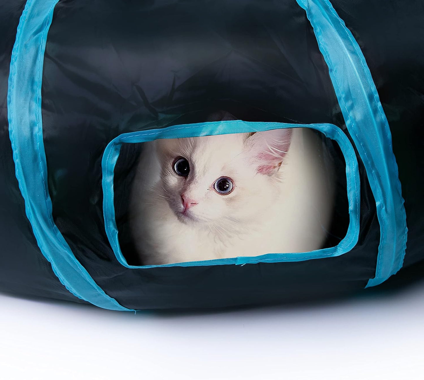 Tunnel interactif en forme de S pour chat avec jouet à balle suspendue