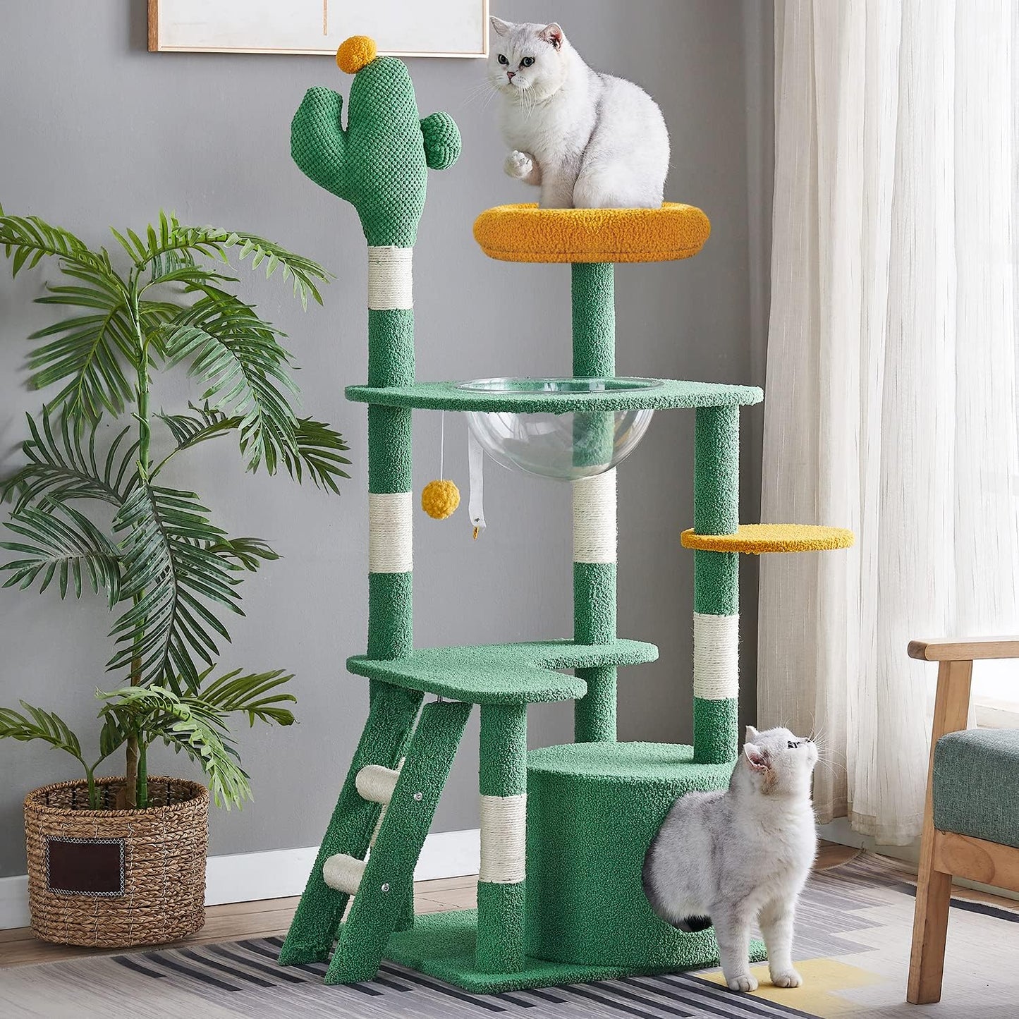 Arbre à Chat Cactus – Tour 135 cm avec Capsule et Condos