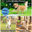 Balle jouet interactive pour chien – amusante et fonctionnelle
