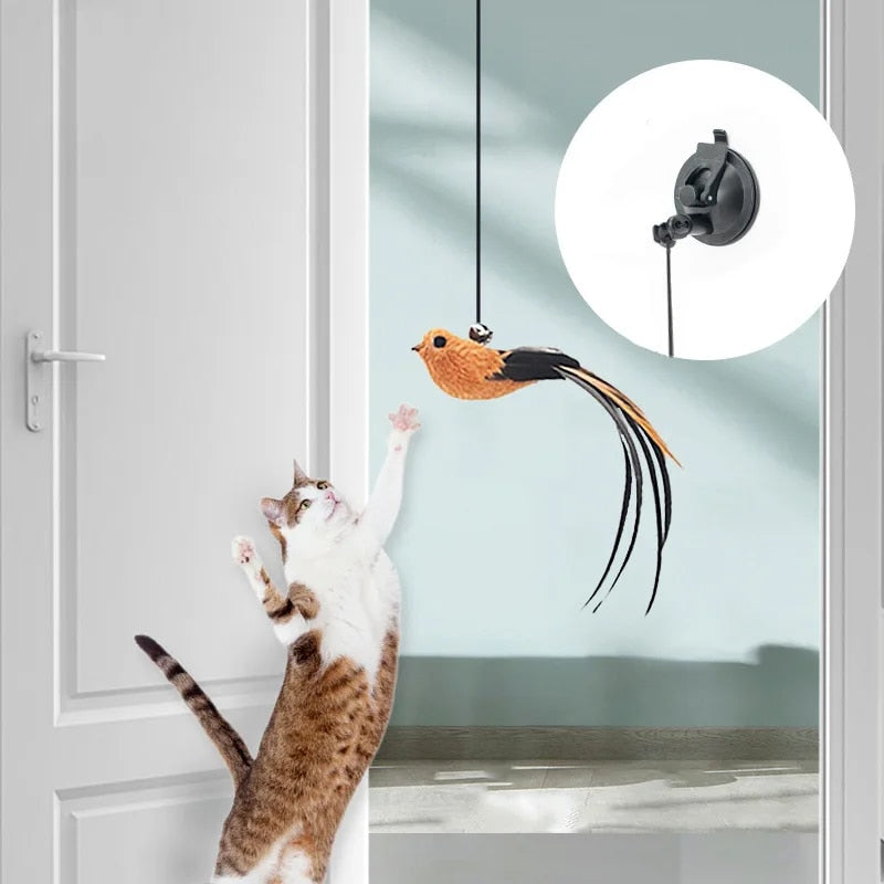 Teaser interactif pour chat Feather Frenzy