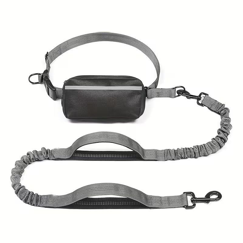 Laisse Chien Mains Libres – Ceinture avec Amortisseur