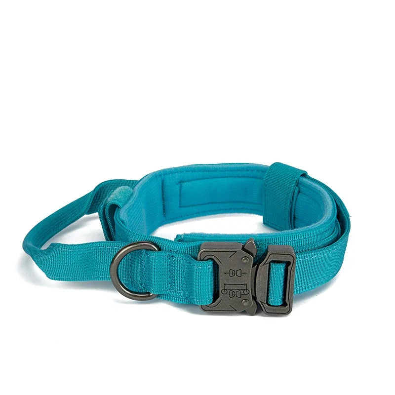 Collier pour chien robuste et confortable
