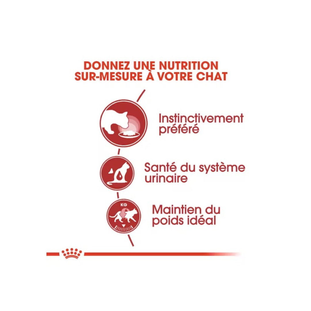 Royal Canin Instinctive Gravy – Adult Cat Food - 85g