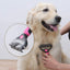 Brosse pour Chat et Chien - Brosse Double Face pour Démêlage et Sous-Poil
