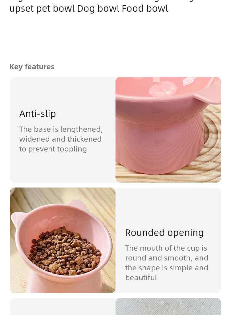 Gamelle pour Chat et Chien - Inclinée avec Design Innovant