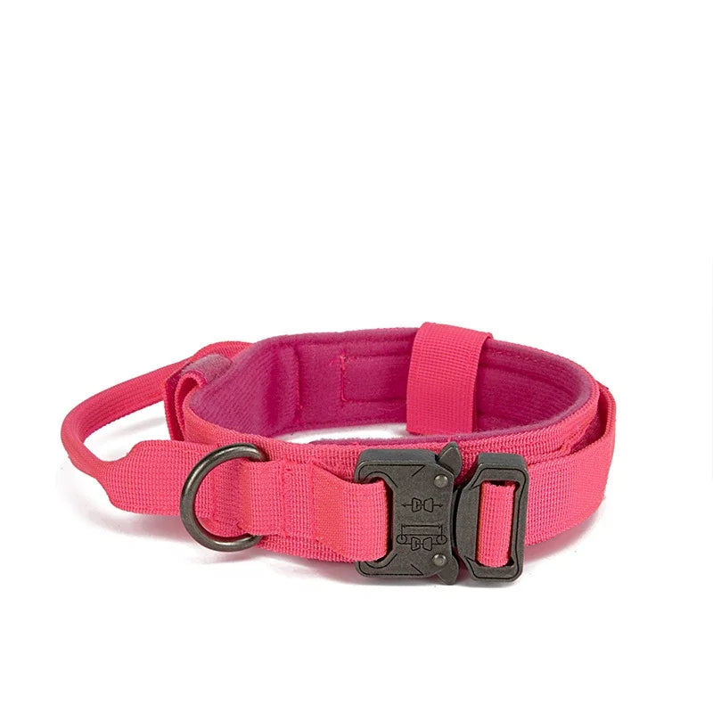 Collier pour chien robuste et confortable