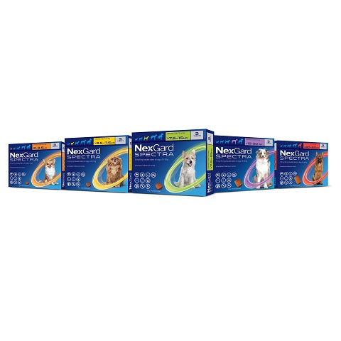NexGard Spectra – Protection à large spectre pour chiens – Toutes tailles