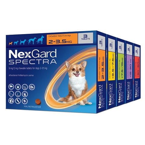 NexGard Spectra – Protection à large spectre pour chiens – Toutes tailles