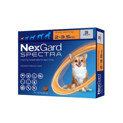 NexGard Spectra – Protection à large spectre pour chiens – Toutes tailles