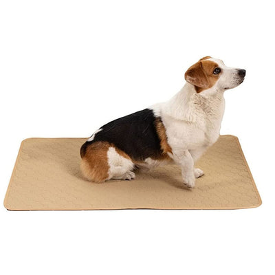 Dog Training Absorbent  Pad Washable Urine Mat