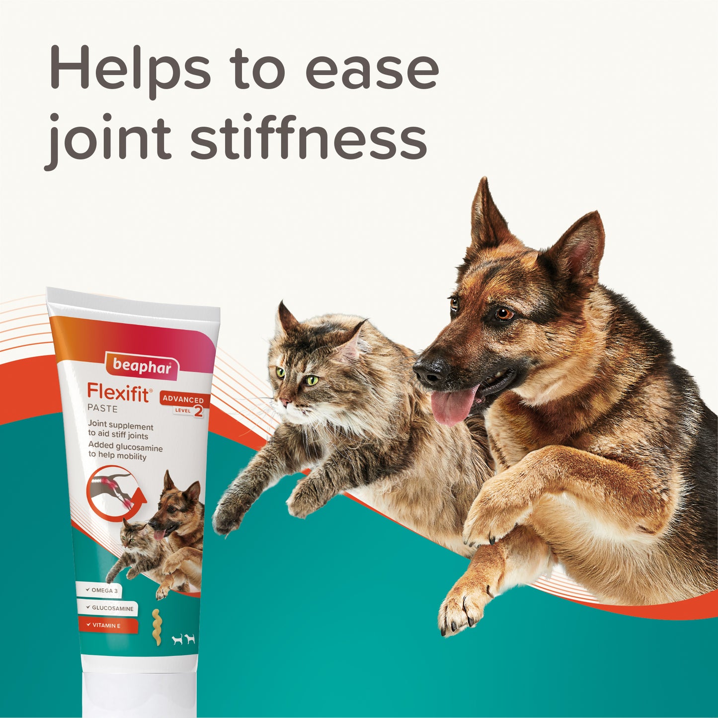 Beaphar Flexifit® Joint Paste for Dogs & Cats – Adult
