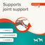 Beaphar Flexifit® Joint Paste for Dogs & Cats – Adult