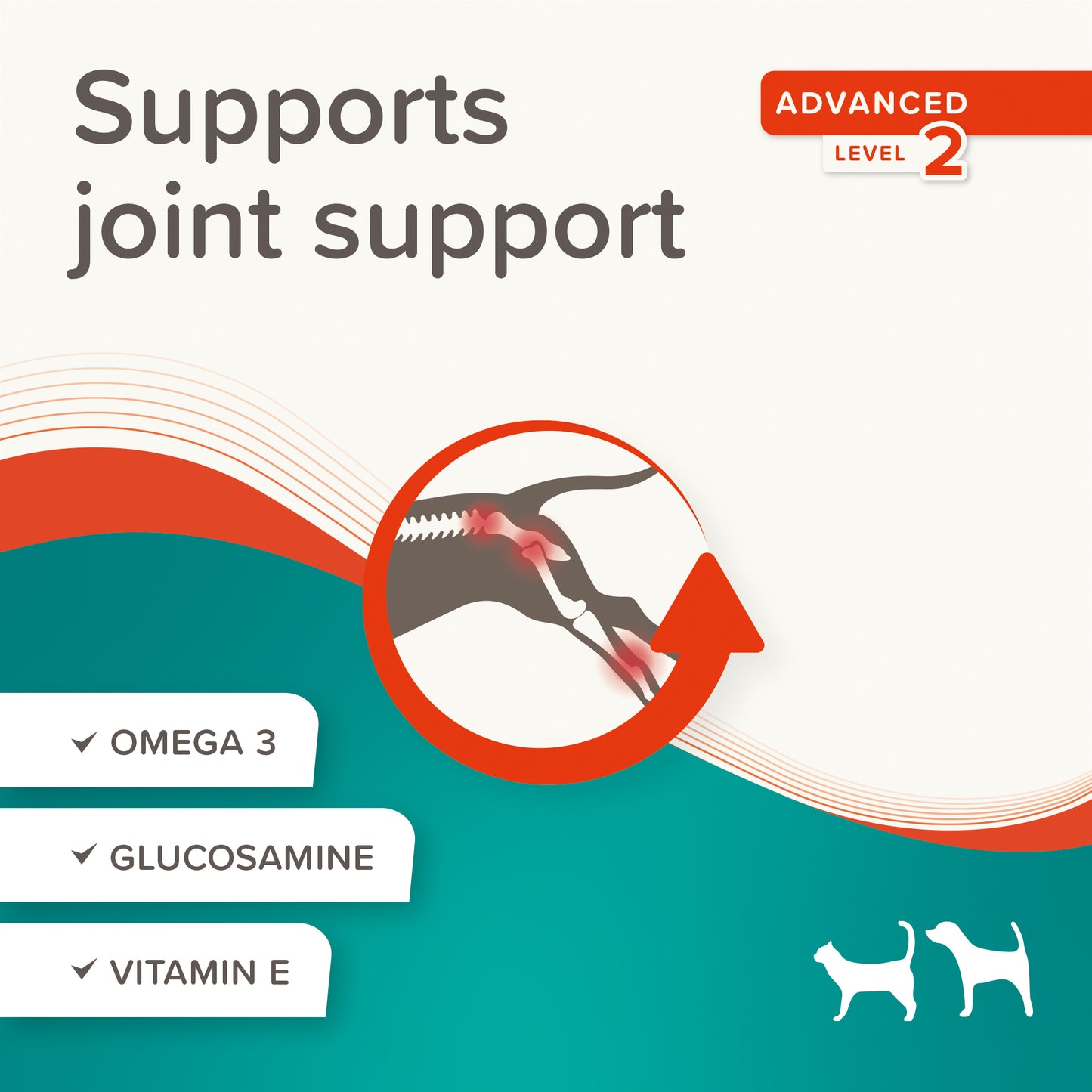 Beaphar Flexifit® Joint Paste for Dogs & Cats – Adult