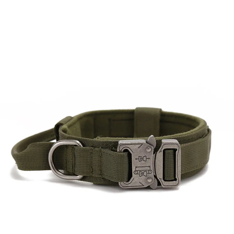 Collier pour chien robuste et confortable