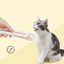 Cuillère Distributrice pour Chat – Tête Souple pour Nourriture Humide