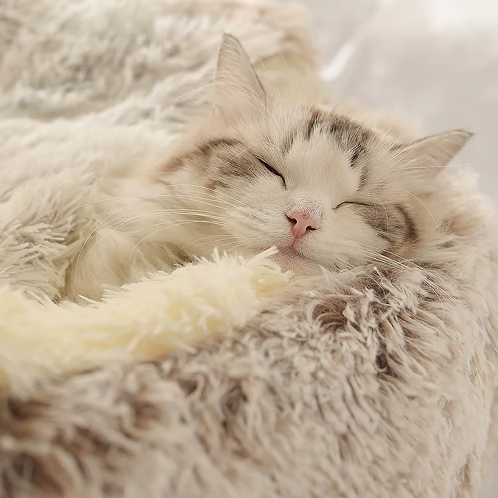 Lit Grotte Douillet pour Chat avec Base Antidérapante