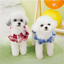 Plaid Dog Dress Harness with Bow – Adjustable & Breathable